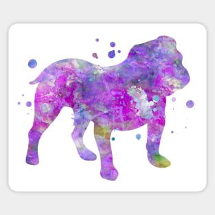 Purple English Bulldog Watercolor Painting Sticker